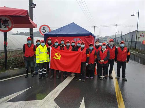 閃耀黨徽，逆行戰“疫”！一次特殊的主題黨日活動